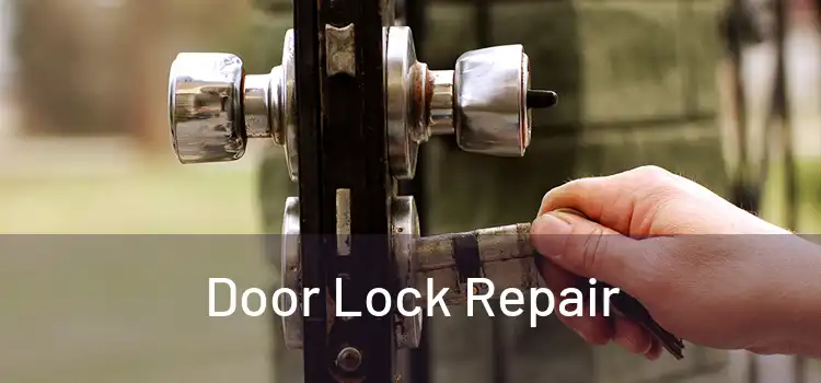  Door Lock Repair 