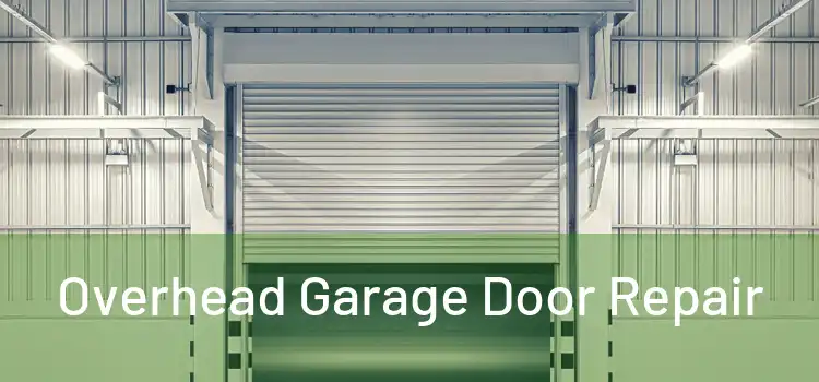  Overhead Garage Door Repair 